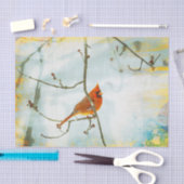 Tweefselpapier voor kardinale Waterverf Tissuepapier (Craft)