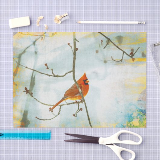 Tweefselpapier voor kardinale Waterverf Tissuepapier (Craft)