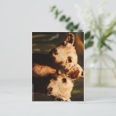 Tweehoornige geit briefkaart (Staand voorkant)