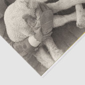 tweekleppige lam papier (Detail)