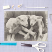 tweekleppige lam papier (Craft)