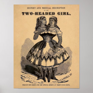 tweekleurig Poster