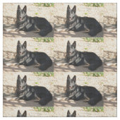 tweekleurige duitse herderslegger stof (Swatch)