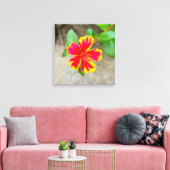 Tweekleurige Rode en Gele Mosroos Bloem Canvas Afdruk (Insitu (Woonkamer))
