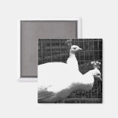 tweeling 8x8 magneet (Voorkant / Achterkant)