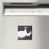 tweeling 8x8 magneet (Insitu (Vaatwasser))