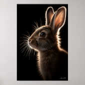 Tweeling antennes poster (Voorkant)
