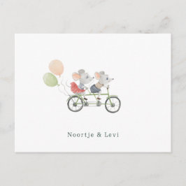 Tweeling Baby Geboortekaartje Schattige Muisjes Briefkaart