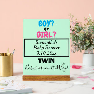 Tweeling Baby Shower Roze Blauw Wordt Moeder NAAM Acryl Bord