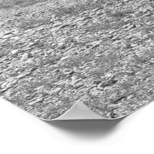 tweeling die zwart en wit poster loopt (Hoek)