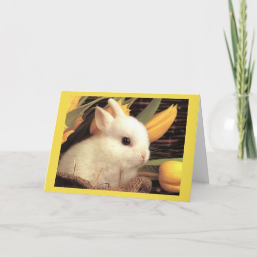 ***TWEELING*** - GELUKKIG PASEN / GELUKKIG VOORJAA FEESTDAGEN KAART (Voorkant)