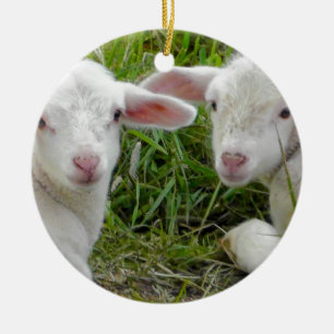 Tweeling Lam Baby Dier Denken Aan Jou Keramisch Ornament