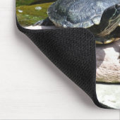 Tweeling schildpadden - muismat (Hoek)