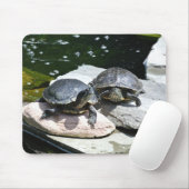Tweeling schildpadden - muismat (Met muis)