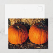 Tweeling Vintage Pompoenen Briefkaart (Voorkant / Achterkant)