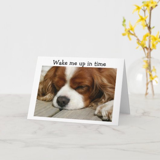 ***TWEELING*** WAKKER ME OP TIJD" VERJAARDAG GROET KAART (Gele Bloem)