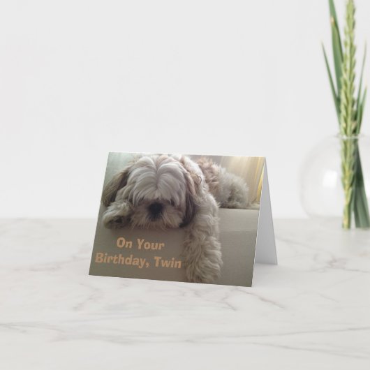 **TWEELING** WENS IK ZOU KUNNEN ZEGGEN GELUKKIGE V KAART (Voorkant)