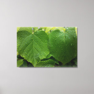 tweelingblad canvas afdruk