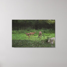 Tweelingen en hun Mamma's Canvas Afdruk