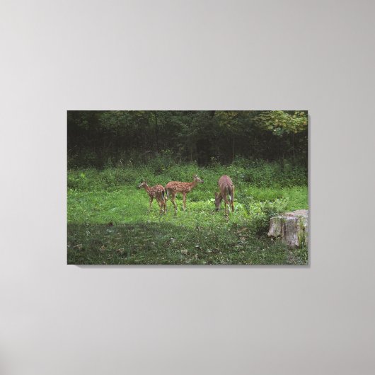 Tweelingen en hun Mamma's Canvas Afdruk (Voorkant)