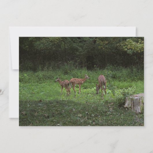 Tweelingen en hun Mamma's Kaart (Voorkant)