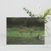 Tweelingen en hun Mamma's Kaart (Staand voorkant)