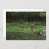 Tweelingen en hun Mamma's Kaart (Voorkant / Achterkant)