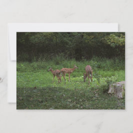 Tweelingen en hun Mamma's Kaart