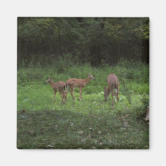 Tweelingen en hun Mamma's Magneet (Voorkant)