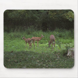 Tweelingen en hun Mamma's Muismat