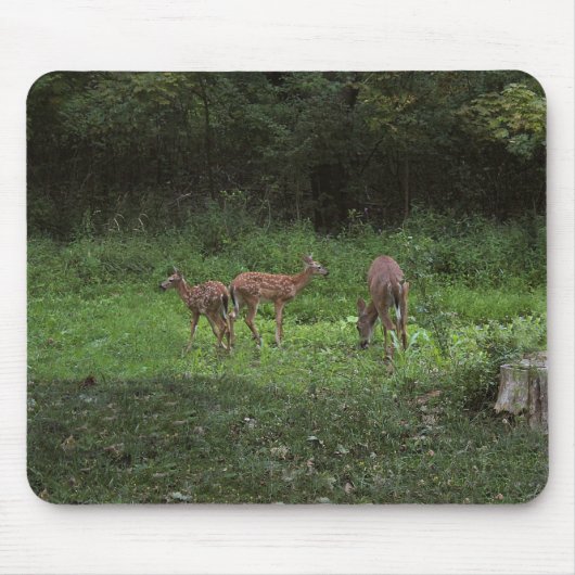 Tweelingen en hun Mamma's Muismat (Voorkant)