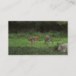 Tweelingen en hun Mamma's Visitekaartje