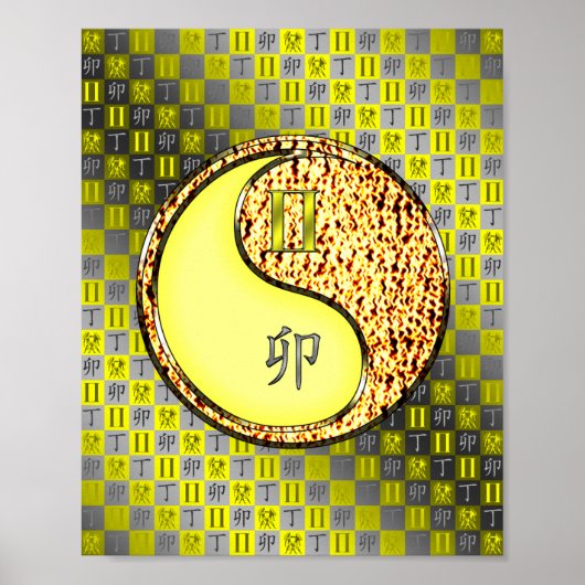 Tweelingen en vuurkonijn poster (Voorkant)