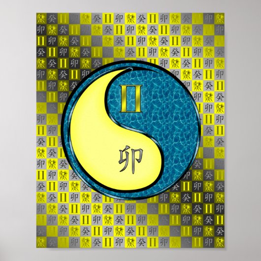 Tweelingen en waterkonijn poster (Voorkant)