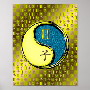 Tweelingen en waterratten poster