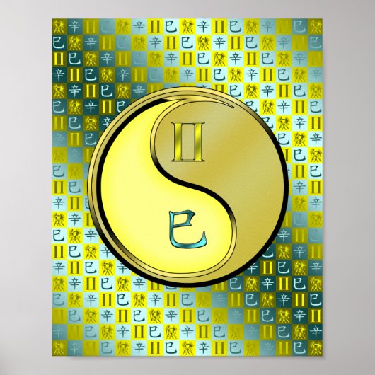 Tweelingen & Metalen Slang Poster (Voorkant)