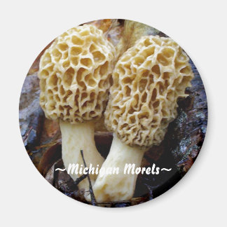 Tweelinggele morels, ~Michigan morels~ Magneet