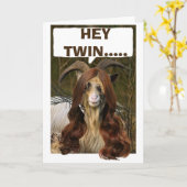 TWEELINGHAARIGE GEIT IN LANGHARIGE PRUIK VERJAARDA KAART (Gele Bloem)