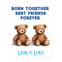 Tweelingjongenskwekerij, Teddyberen,