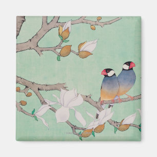 Tweelingvogels in de takken magneet