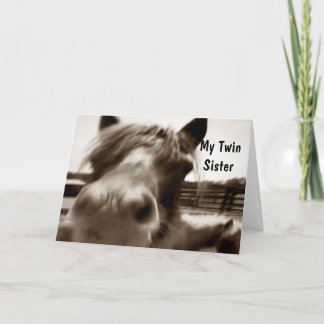 ***TWEELINGZUS*** 40ste VERJAARDAG HUMOR Kaart