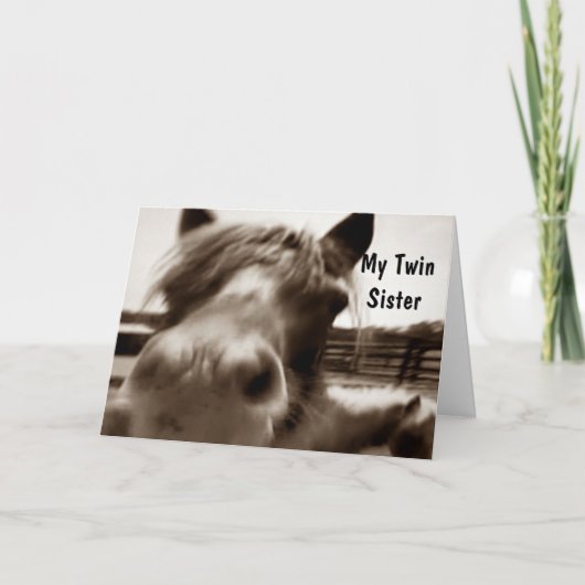 ***TWEELINGZUS*** 40ste VERJAARDAG HUMOR Kaart (Voorkant)