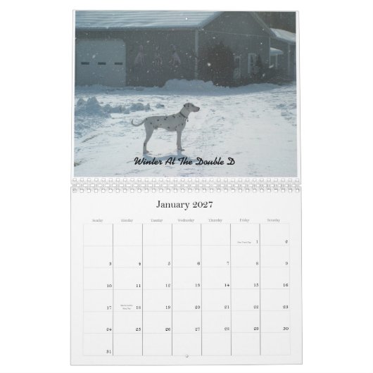 Tweemaal D- Dalmatiërs 2010 Kalender (Jan 2027)