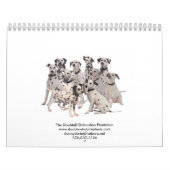 Tweemaal D- Dalmatiërs 2010 Kalender (Hoes)