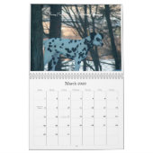Tweemaal D- Dalmatiërs 2010 Kalender (Mar 2026)