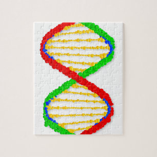 Tweemaal DNA-strengen Legpuzzel
