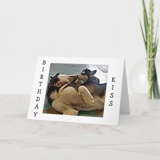 TWEEMAANDAGKISSES = PUP FOTOGRAPHY KAART (Voorkant)