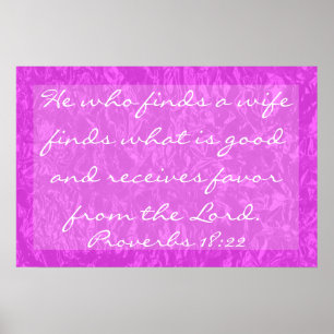 tweeslachtig, hij vindt een vrouw Proverbs 18:22 Poster