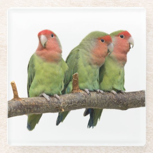 Tweet Trio Glas Onderzetter (Voorkant)