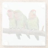 Tweet Trio Glas Onderzetter (Achterkant)